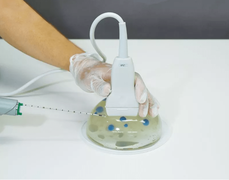 Ultraschallgestütztes Brustbiopsie - Phantom (Set mit einer basis und einer erweiterten Version) - Erler - Zimmer